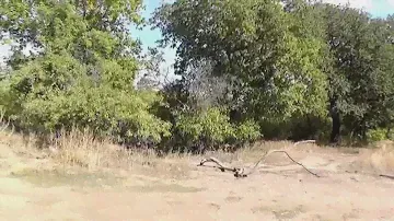 горная поляна