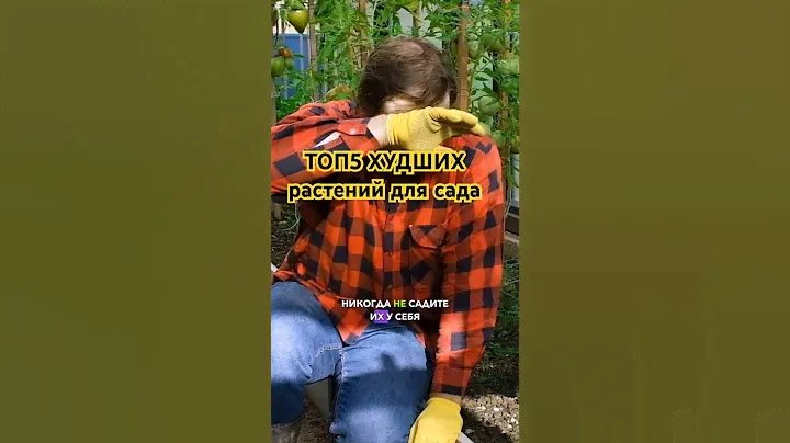 «Разбойники» на вашем участке. 5 самых вредных растений