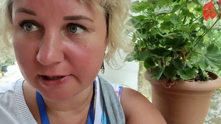 Отдых в Батуми Горная Аджария Такого застолья Я ЕЩЁ НЕ ВИДЕЛА Вино льется рекой Грузия 2021!