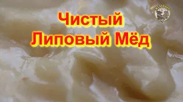 Мёд победитель Чистейший Липовый Мёд из Республики Татарстан