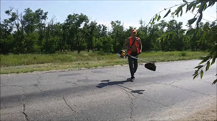 Волгоград, советский район, на горной поляне, 21.06.2016 г.