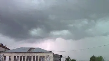 Путешествие в Елизарово