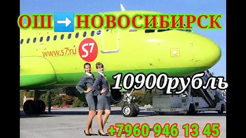 ОШ➡️НОВОСИБИРСК 10900рубль