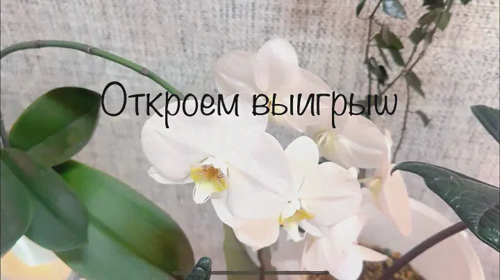 Откроем Выигрыш 😊
