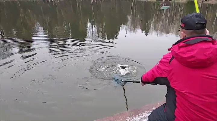 Форель клюёт в придонном слое. Клёвое место, Лосиный остров, нижний водоём.