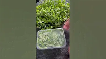 Замораживать или сушить?