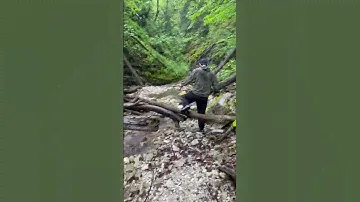 Рыбалка в Дагестане,маленькая горная речка,но в ней есть форель #дагестан #рыба #рыбалка