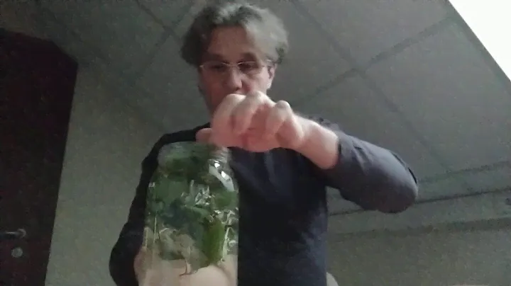 Лечение грибка ногтей с чистотелом