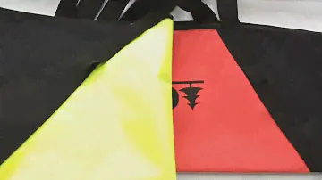 Чехол для горных лыж "Ski Bag" EKUD.