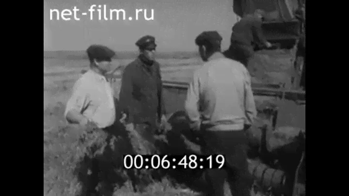 1977г. п. Петровский колхоз Комсомолец Краснопартизанский район Саратовская обл