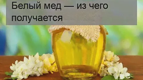Белый мед — из чего получается