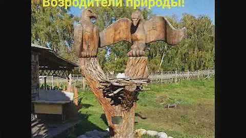 Копия видео "Осенний Тур Выходного Дня в Горный Алтай к оз.Телецкое!"