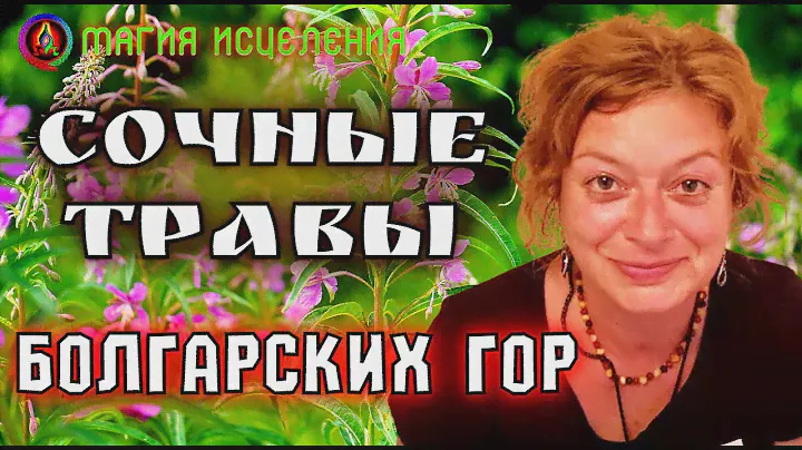Сочные травы болгарских гор, травы для чая | Полезный травяной чаи