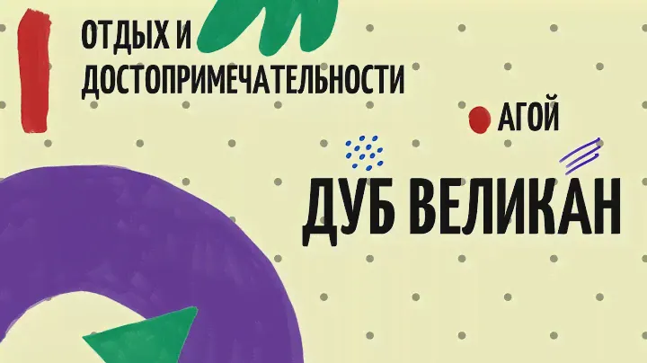 Где находится дуб-великан в Агое?