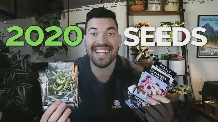 24 редких семени, которые я выращиваю в 2020 году!