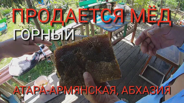 Продается горный натуральный сотовый мед с пасеки в с. Атара Армянская, Абхазия.