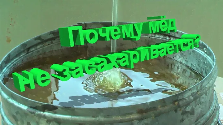 Профессор Кашковский: Почему мёд не засахаривается?