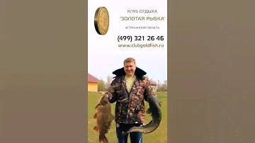 Золотая рыбка. Турбаза