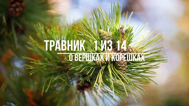 Травник - 01 аудиокнига
