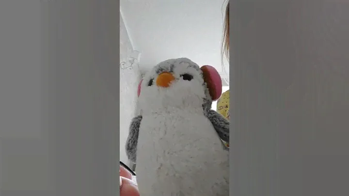 кажется пингвины друг друга любят