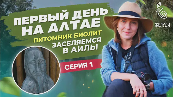 Путешествие на Алтай. Как растет женьшень, тайны лопуха и необычный алтайский чай