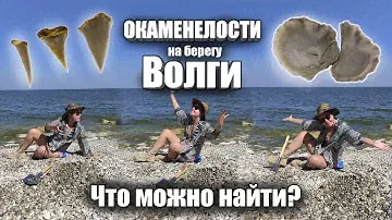 Окаменелости на берегу Волги | Пеший семейный поход | Ищем гипс на Волге