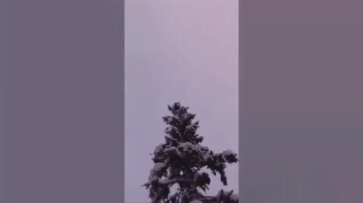 Природа Зимняя сказка Домик в лесу Горный воздух Отдых семьей Каникулы Отпуск Труднодоступное место