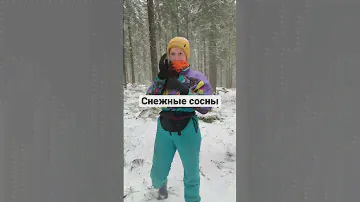 Karelia in winter
