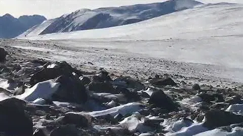 Горный Алтай, Кош-Агачский район, загонная охота на Бельтирских волков.