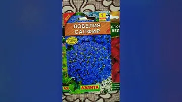 Семена цветов на сезон 2021. Часть 2
