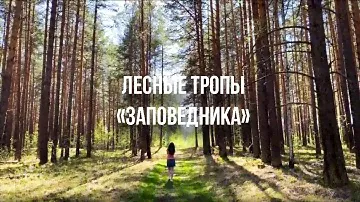 Коттежный поселок "Заповедник". Лесные тропы
