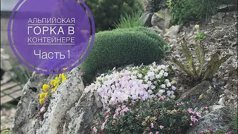 АЛЬПИЙСКАЯ ГОРКА В КОНТЕЙНЕРЕ. Часть 1